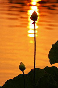 欧洲顶级联赛揭幕战在周末进行：激情、商业与记忆的汇聚