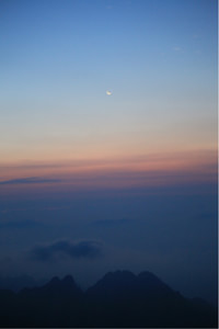 勇士前锋上演绝杀，帮助球队取胜