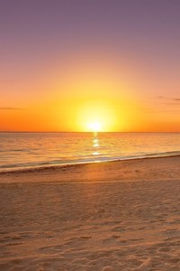 新加坡足球俱乐部引进外援，提升竞争力