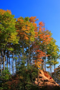 香港南华队不敌贝尔格莱德红星：中国足球走向国际化